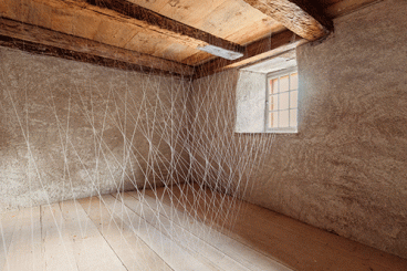 Beate Frommelt : Spinnen und Wanzen gehören auch zum Ganzen, Installation in der Ausstellung: Sag mir wo die Blumen sind, 2019