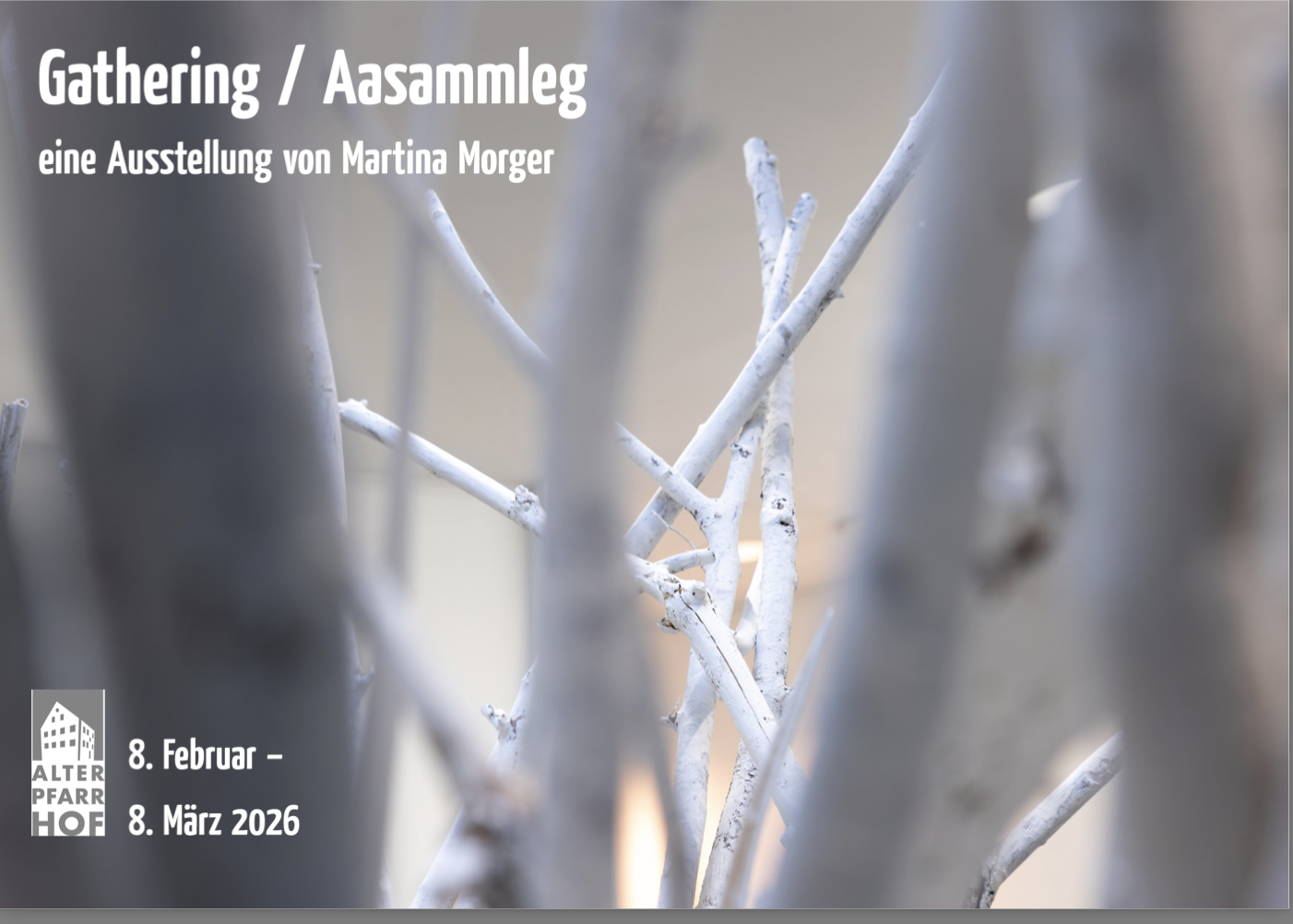 Martina Morger: Gathering / Aasammleg 